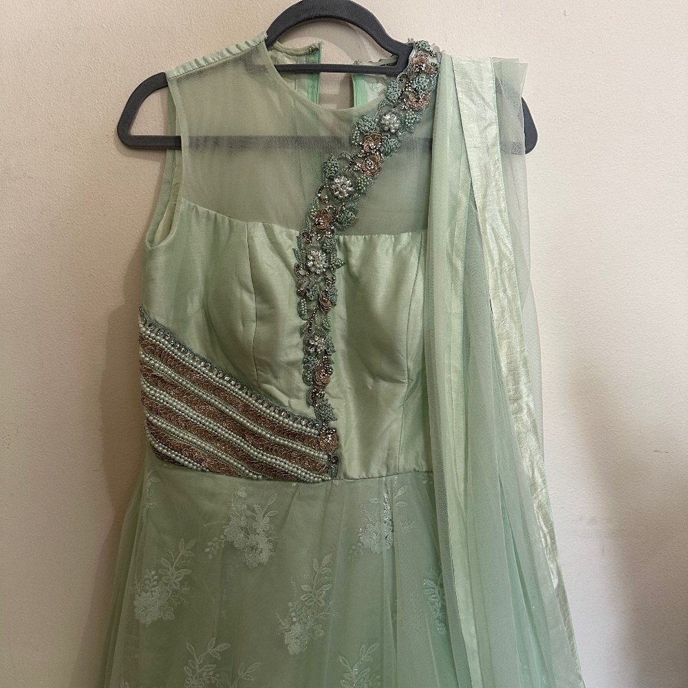 Net embroidered gown with dupatta